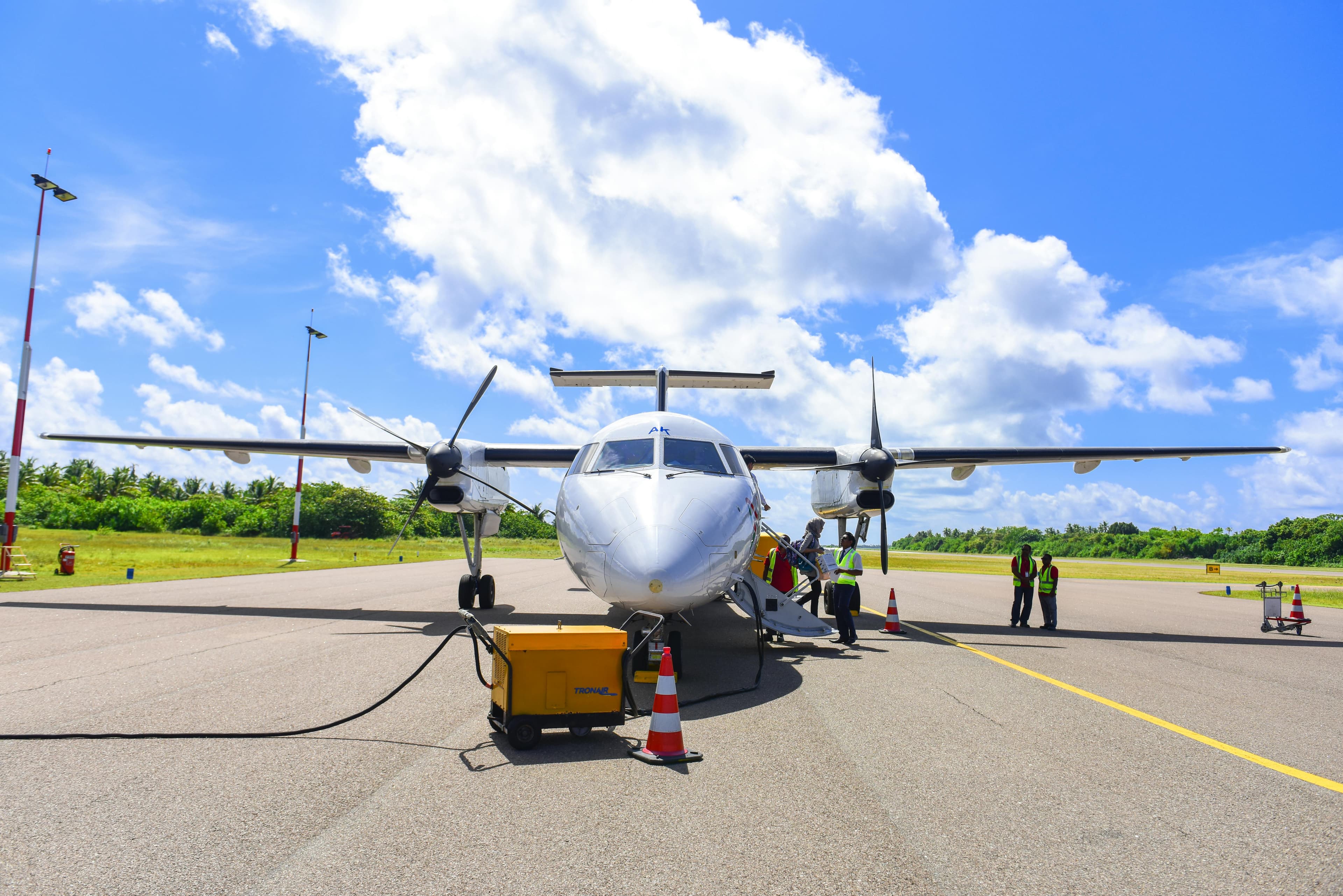 Aviation Security Service Illustration