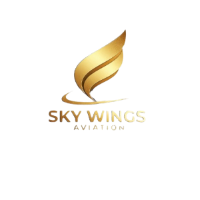 Sky wings  Logo